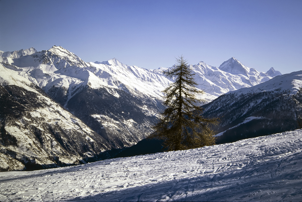 Numérisation diapositives ScanFilm